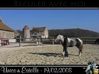 Unico, reculer en liberté, 19/02/2008