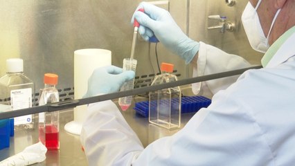 Científicos enmarcan en la "normalidad" interrupción del ensayo de vacuna de Oxford