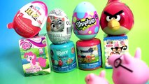 Shopkins SURPRISE EGGS My Little Pony Disney Tsum Tsum Mashems Paw Patrol Zootopia MLP Kids toys