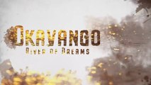 Okavango River of Dreams Part 1 - Paradise  HD