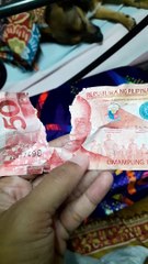 Lady Confronts Her Dog About Suspicious Bite Marks out of a 50-Peso Bill