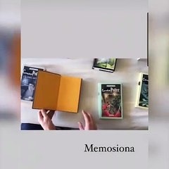 Santiago Maratea intervino un libro de Harry Potter y lo vendió a un precio muy elevado