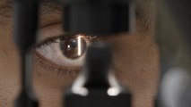 Hungarian Researcher May Have Cure For Blindness