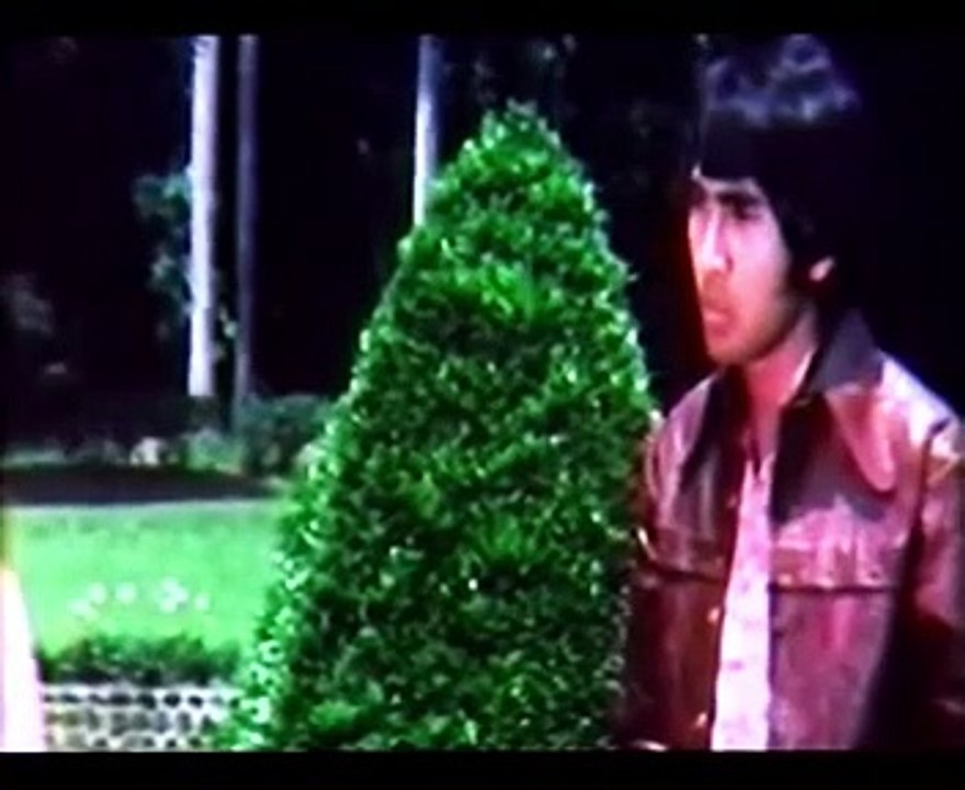 Lisa 1971 part 1