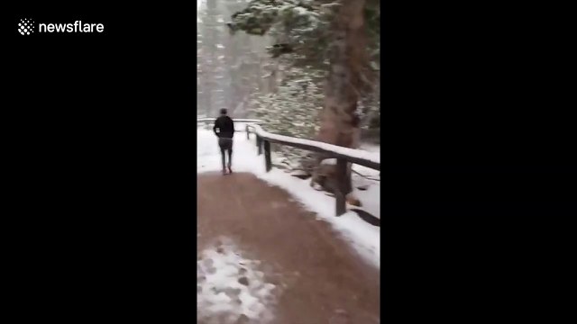 Early September snow blankets parts of Colorado