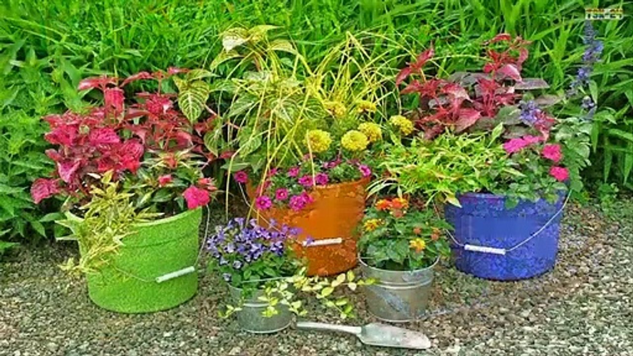Fun and Creative Container Gardening Ideas