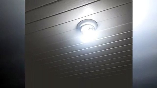 Internauta pede ajuda para retirada de abelhas em residência do Pacaembu