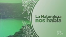 Noticias RCN y Conservación Internacional Colombia unidos en campaña para salvar la naturaleza
