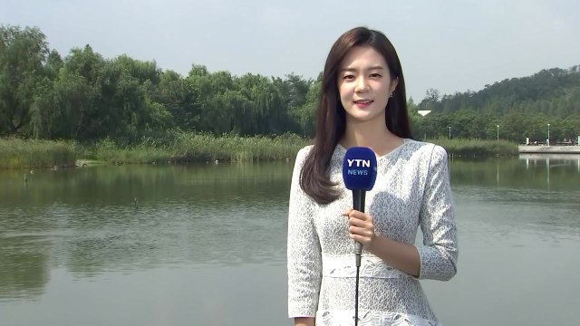 [날씨] 오늘 선선한 초가을...일부 오후 한때 비 / YTN
