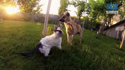 Cats & Dogs: Paws Unite! - Trailer