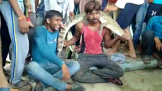 झांसी में बेजुबानों से खिलवाड़, मगरमच्छ पकड़कर कंधे पर रखकर लिया सेल्फी
