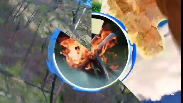 Medellín inicia jornada de sembratón para mejorar la calidad del aire