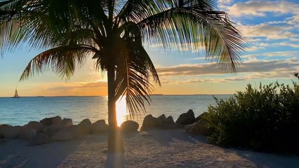 Relaxing Folk music with beautiful nature | Music Club | *Exclusive* 18