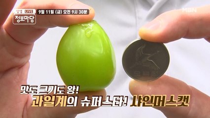 생생 정보마당 [716회] - 설레는 금요일