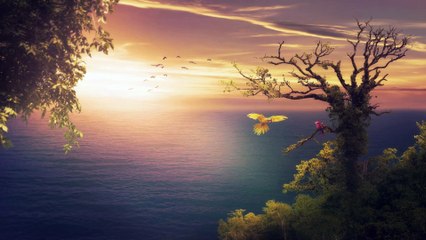 Sleeping Music - Calming Music - Relaxing Piano Music