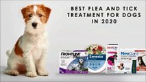 Best Flea And Tick Treatment For Dogs In 2020 - CanadaPetsSupplies.com