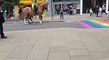 Deux chevaux de la police effrayés par un drapeau LGBT dessiné au sol