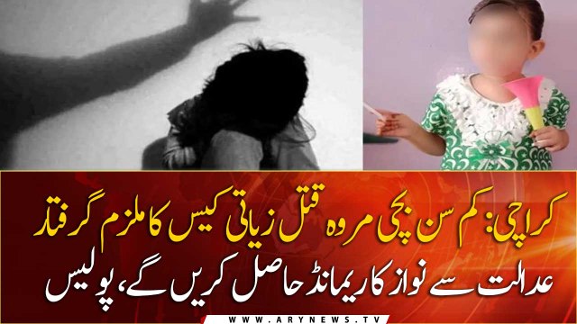 Suspect in Marwah rape-murder case remanded into police custody