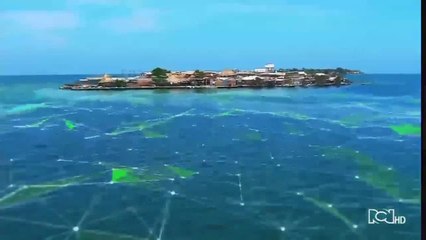 Emisión 12:30 p.m. / viernes 22 de mayo de 2020