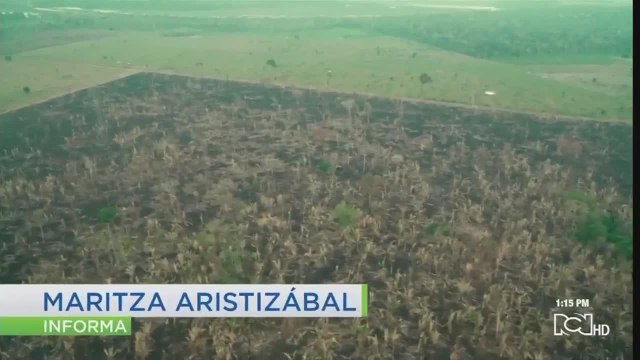 Se hundió proyecto que prohibía extracción de petróleo en la Amazonia