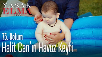Halit Can'ın havuz keyfi - Yasak Elma 75. Bölüm
