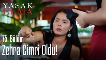 Hesaplı hayata geçiş - Yasak Elma 75. Bölüm