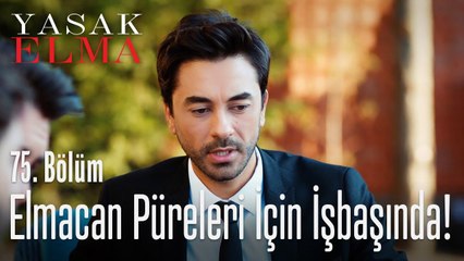 Elmacan pürelerine destek - Yasak Elma 75. Bölüm