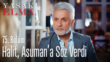 Halit, Asuman'a söz verdi - Yasak Elma 75. Bölüm