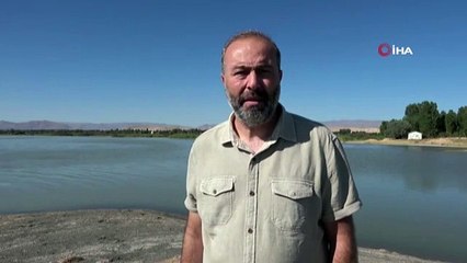 Van Gölü binlerce flamingoya ev sahipliği yapıyor