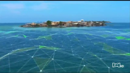 Emisión 7:00 p.m. / martes 19 de noviembre de 2019