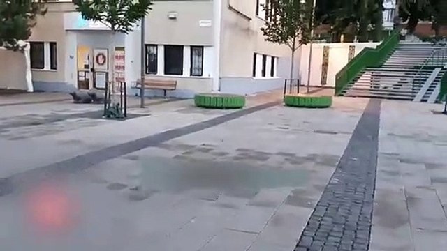 İslam düşmanları yine sahnede! Kur'an-ı Kerim yakıp sosyal medyadan yayımladılar