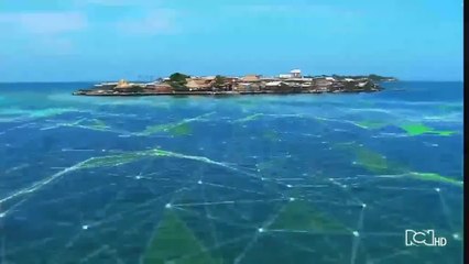 Emisión 12:30 p.m. / miércoles 20 de mayo de 2020