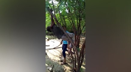 चोरी के आरोप में बच्चों को पेड़ से बांधकर बेरहमी से पीटा, 6 गिरफ्तार