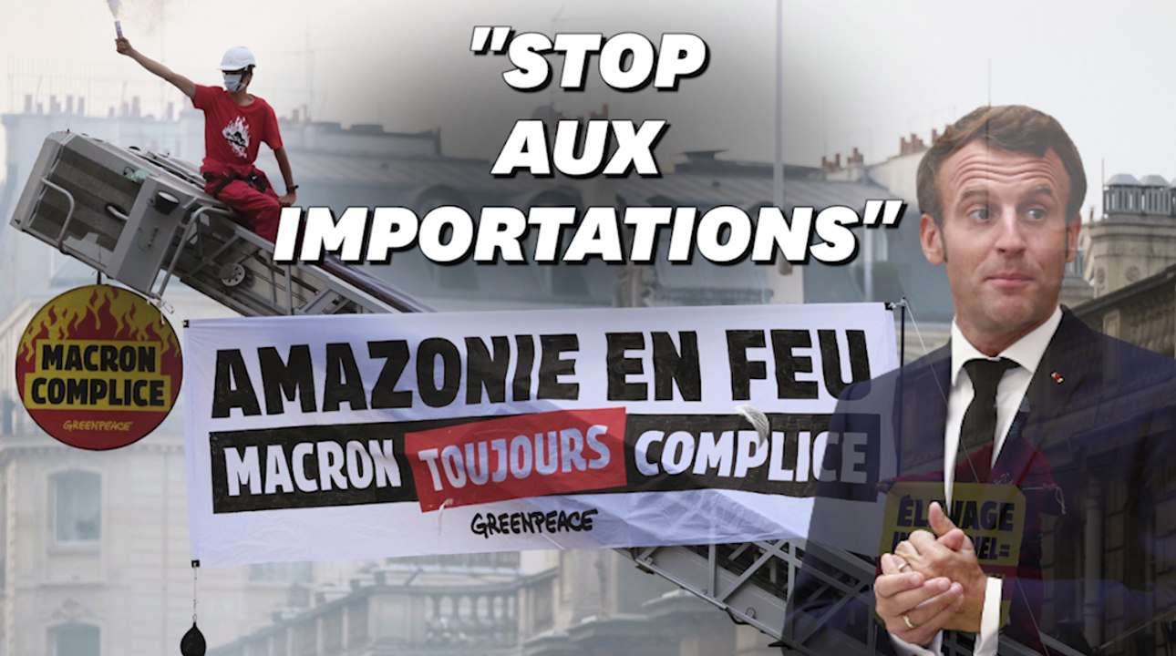 "Macron toujours complice", les images de l'action coup de poing de Greenpeace devant l'Élysée
