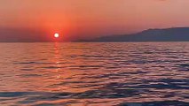 Una balena nel mare di Maratea al tramonto