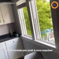 Ce propriétaire est en larmes après que ses  locataires soient partis en ayant vandalisé son bien