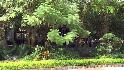 Trang trại có "1-0-2": Cho bò nghe nhạc giảm stress | VTC16