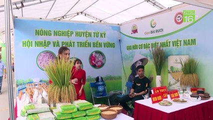 Thu "hạt ngọc trời" trên ruộng rươi | VTC16