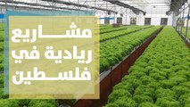 مشاريع ريادية زراعية الأولى في فلسطين بأيادي الشابات