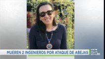 Por ataque de abejas africanizadas dos ingenieros murieron en Sabanalarga, Atlántico