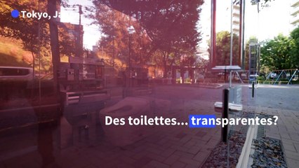 Des toilettes transparentes dans les parcs de Tokyo, ça existe