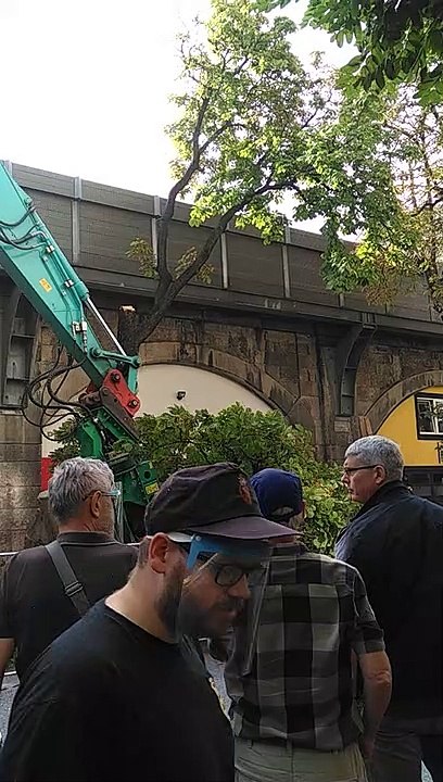 Baumfällungen in Innsbruck