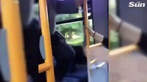 Racist pensioner calling people ‘monkeys’ gets beaten up on London bus