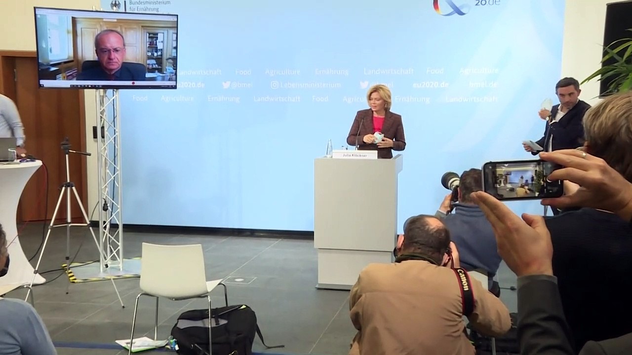 Afrikanische Schweinepest in Deutschland - Bauern in Sorge