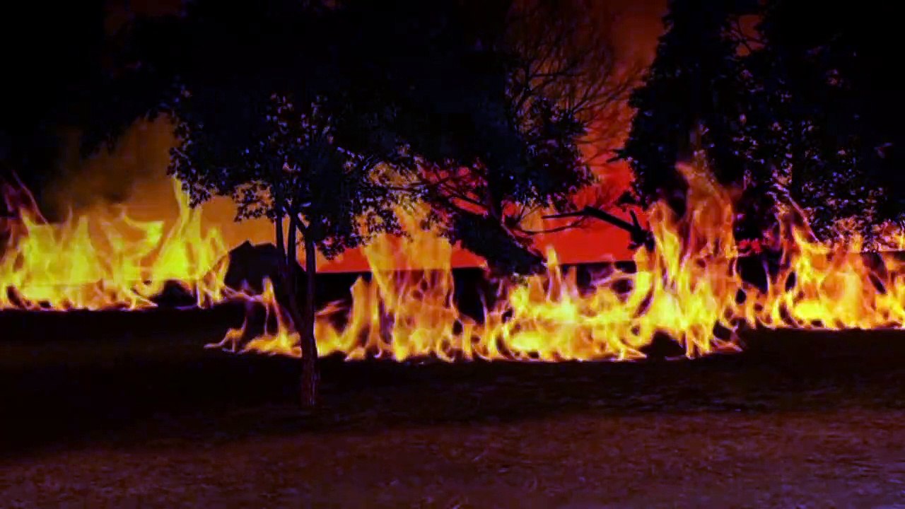 Videografik: So entstehen Waldbrände