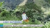 En busca de señal: niña recolectora de café camina tres horas para hacer sus tareas