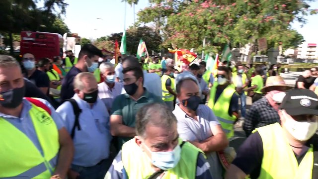 Distintas manifestaciones se concentran a las puertas del Parlamento de Andalucía