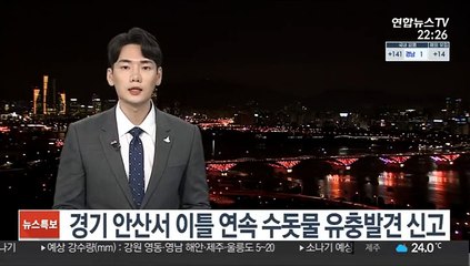 경기 안산서 이틀 연속 수돗물 유충발견 신고
