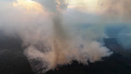 Brazil: Wildfires threaten virgin Amazon rainforest