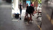 İstanbul’un göbeğindeki pitbull dehşetine para cezası
